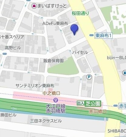 サンマルティーノ東麻布の物件内観写真